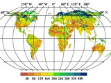 Global Soil Microbial Biomass Carbon Density