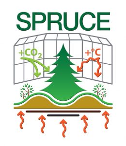 Xiaofeng Attended 1st SPRUCE all hands meeting