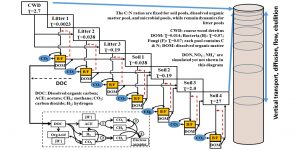 clm-microbe