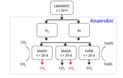 Conceptual model for methane + Fe