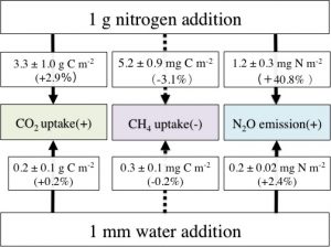 A new paper reports N-water interaction on GHG